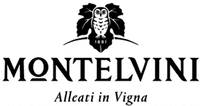 MONTELVINI Alleati in Vigna