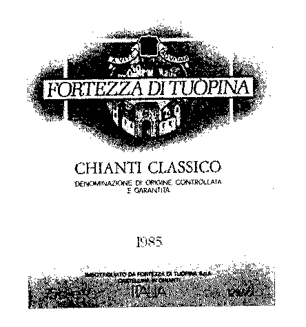 FORTEZZA DI TUÒPINA