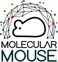 MOLECULAR MOUSE