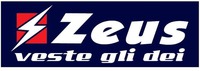 Zeus veste gli dei