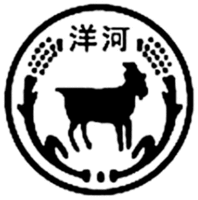 YANG HE
