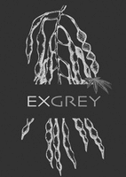 EXGREY