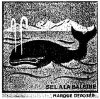 SEL A LA BALEINE