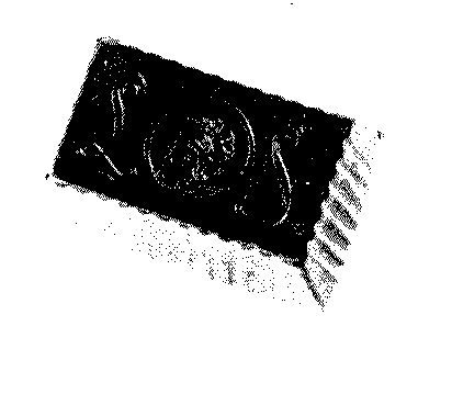 LS
