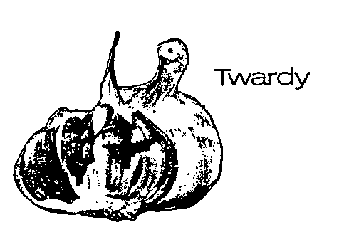 Twardy