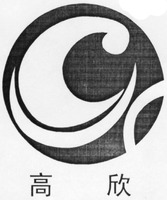 Gao Xin.