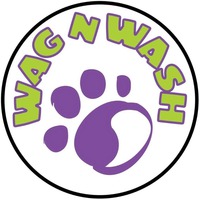 WAG N WASH