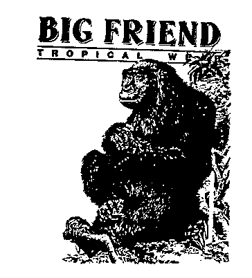 BIG FRIEND