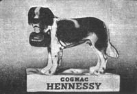 COGNAC HENNESSY