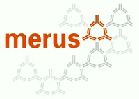 merus