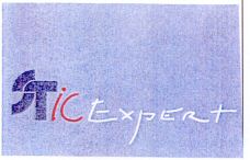 STIC Expert