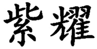  ZI YAO 