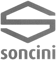 S soncini