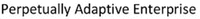 Perpetually Adaptive Enterprise