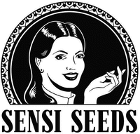SENSI SEEDS