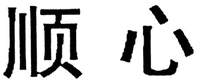 SHUN XIN