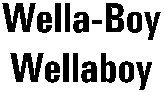Wella-Boy Wellaboy
