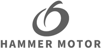HAMMER MOTOR