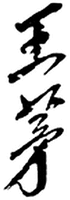 WANG MAO