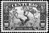 CENTURIO PRIMUS OMNIUM 100 ANNI VIGNE VECCHIE