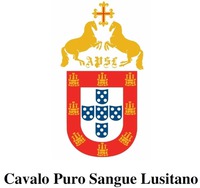 APSL Cavalo Puro Sangue Lusitano