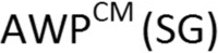 AWP CM (SG)