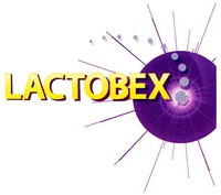 LACTOBEX