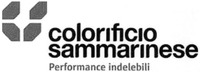 colorificio sammarinese Performance indelebili