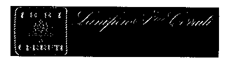 CERRUTI 1881