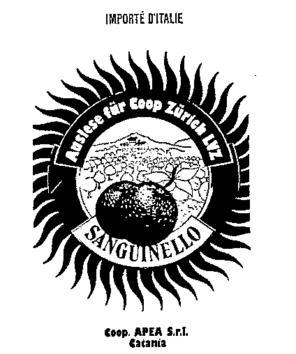 SANGUINELLO