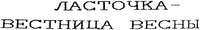  Lastochka-vestnitsa vesny 