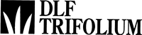 DLF TRIFOLIUM