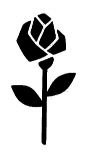 Black Rose