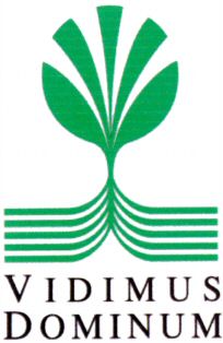 VIDIMUS DOMINUM