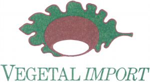 VEGETAL IMPORT