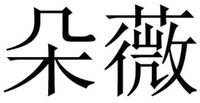 DUO WEI