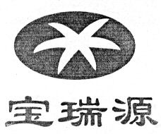  BAO RUI YUAN. 