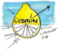 CEDRON PULPE ALBEDO JUS ViTAMiNE ViE