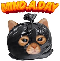 MIND.A.DAY