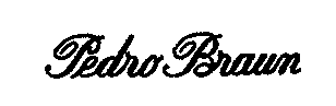 Pedro Braun