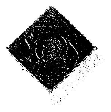 LS