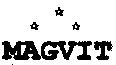 MAGVIT