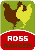 ROSS RANGER