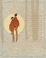 Pheasant [Fez-uhnt] Aloof and Attractive the Pheasant is Native to Eastern Europe and Asia but a Happy Resident of Many Countries Around the World. Making His Home on the