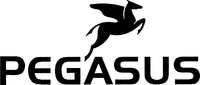 PEGASUS