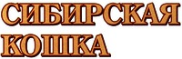 SIBIRSKAYA KOSHKA