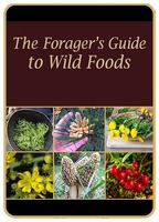 The Forager's Guide to Wild Foods