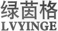LVYINGE