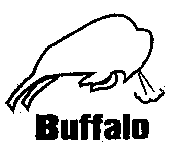 Buffalo