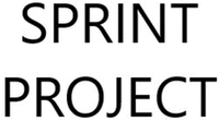 SPRINT PROJECT